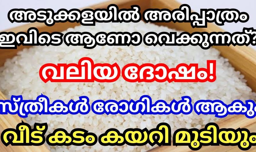 വീടുകളിൽ അരി പാത്രം വയ്ക്കേണ്ട യഥാർത്ഥ സ്ഥാനത്തെ കുറിച്ച് ഇതുവരെയും അറിയാതെ പോയല്ലോ ഭഗവാനെ.