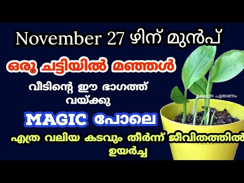 ജീവിതത്തിലെ എല്ലാവിധത്തിലുള്ള ബുദ്ധിമുട്ടുകൾ നീങ്ങുന്നതിന്  ഈയൊരു ചെടി ഇങ്ങനെ നട്ടുപിടിപ്പിക്കൂ. ഇതാരും നിസ്സാരമായി കാണരുതേ.