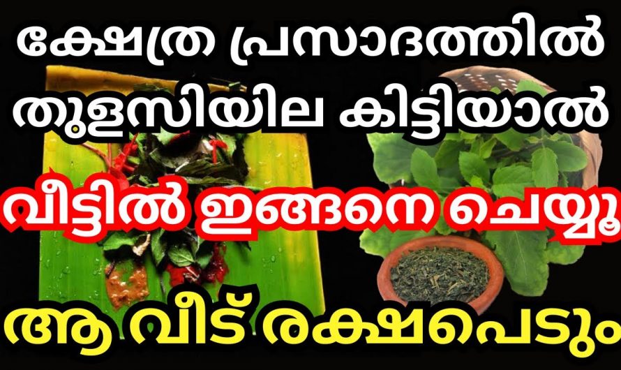 നമ്മുടെ ജീവിതത്തിൽ ഉയർച്ചയും അഭിവൃദ്ധിയും നേട്ടവും ഉണ്ടാകുന്നതിന് ക്ഷേത്ര പ്രസാദത്തിലെ തുളസിയില ഉപയോഗിച്ച് എങ്ങനെ ചെയ്യൂ. ഇതാരും കാണാതെ പോകല്ലേ.