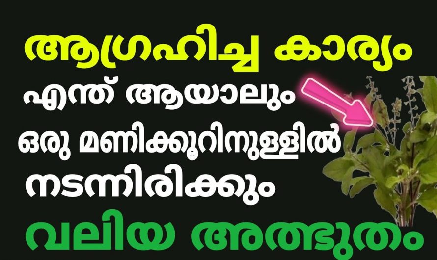 ജീവിതത്തിലെ പരാജയങ്ങളെയും പ്രയാസങ്ങളെയും നിർഭാഗ്യങ്ങളെയും അപ്പാടെ തുടച്ചു മാറ്റുവാൻ ശക്തിയുള്ള ഈ കർമ്മത്തെക്കുറിച്ച് ഇതുവരെയും അറിയാതെ പോയല്ലോ ഈശ്വരാ.