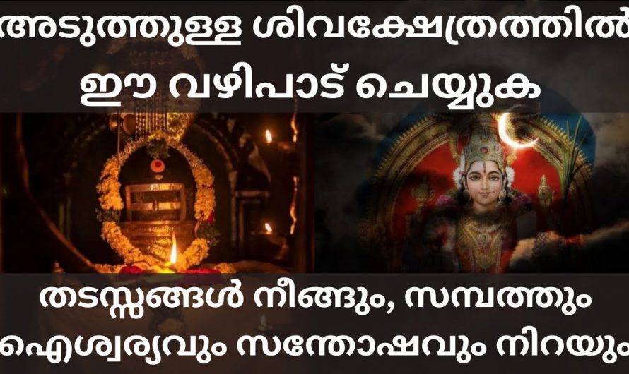 ജീവിതത്തിലെ എല്ലാ പ്രശ്നങ്ങളും നീങ്ങി പോകാനും ഐശ്വര്യവും സമൃദ്ധിയും ഉണ്ടാകാനും ശിവ ഭഗവാനെ അർപ്പിക്കേണ്ട ഈ വഴിപാടിനെ കുറിച്ച് ഇതുവരെയും അറിയാതെ പോയല്ലോ ഈശ്വരാ.