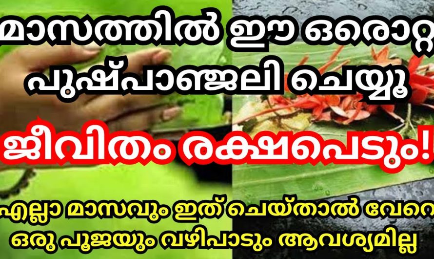 ജീവിതത്തിലെ കഷ്ടപ്പാടിൽ നിന്നും ദുരിതങ്ങളിൽ നിന്നും മുക്തി നേടാൻ കഴിയുന്ന ഈ ഒരു വഴിപാടിനെ കുറിച്ച് ഇതുവരെയും അറിയാതെ പോയല്ലോ ഈശ്വരാ.