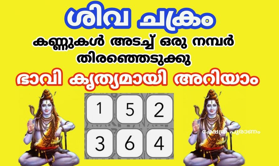 ജീവിതത്തിൽ ഉണ്ടാകാൻ പോകുന്ന ഉയർച്ചയും താഴ്ചയും ശിവ ചക്രത്തിലൂടെ തിരിച്ചറിയാൻ ഇതാരും കാണാതെ പോകരുതേ.