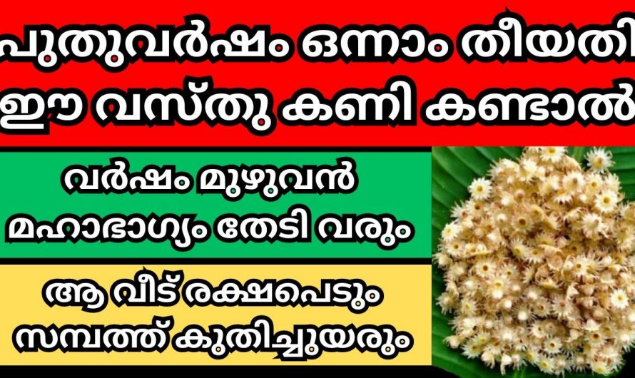 പുതുവർഷ പുലരിയിൽ കണി കാണേണ്ട ഇത്തരം വസ്തുക്കളെ ആരും അറിയാതെ പോകല്ലേ.