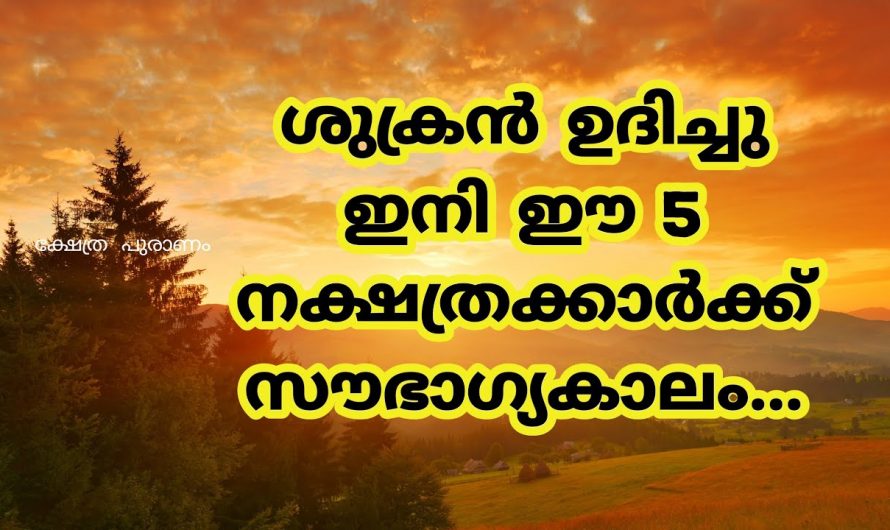 ശുക്രന്റെ ഗതിമാറ്റത്താൽ വിജയങ്ങൾ സ്വന്തമാക്കുന്ന നക്ഷത്രക്കാരെ ആരും തിരിച്ചറിയാതെ പോകല്ലേ.