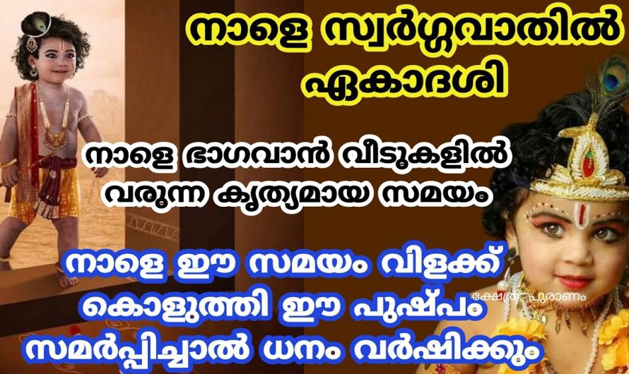 സ്വർഗ്ഗവാതിൽ ഏകാദശി ദിവസം ഇങ്ങനെ ചെയ്യൂ. ധനം വീടുകളിൽ നിറയും. ഇതാരും കാണാതെ പോകരുതേ.