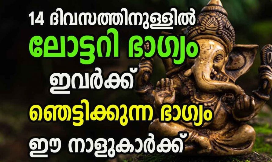 പണപരമായി പല നേട്ടങ്ങളും കൊയ്യാൻ സാധിക്കുന്ന നക്ഷത്രക്കാരെ ആരും കാണാതെ പോകരുതേ.