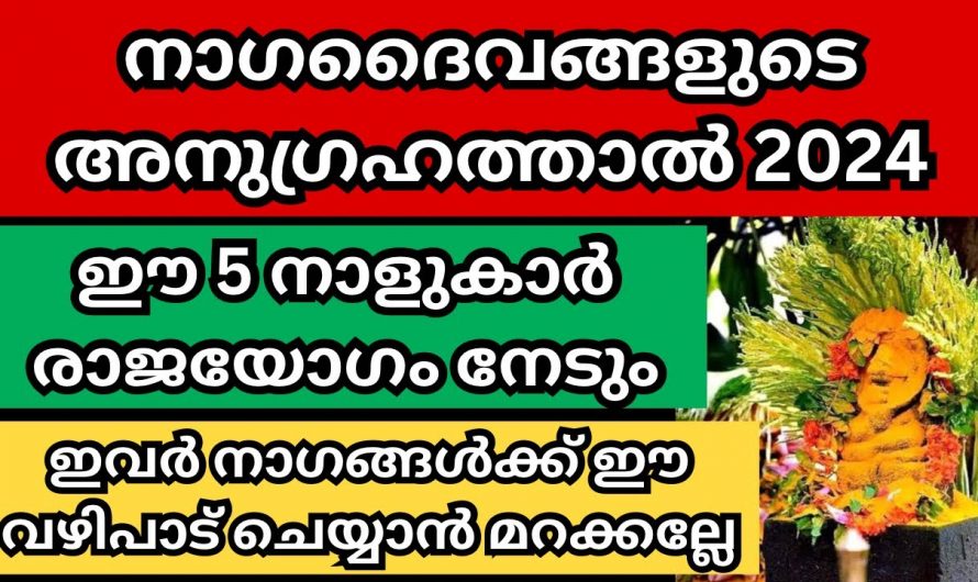 നാഗദേവതകളുടെ അനുഗ്രഹത്താൽ ജീവിതത്തിൽ രക്ഷ നേടാൻ പോകുന്ന നക്ഷത്രക്കാരെ ആരും നിസ്സാരമായി കാണരുതേ.