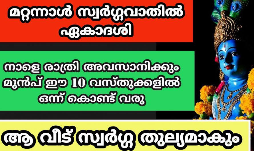 ജീവിതത്തിൽ ധനധാന്യ സമൃദ്ധി ഉണ്ടാകാൻ ചെയ്യേണ്ട കാര്യങ്ങളെക്കുറിച്ച് ഇതുവരെയും അറിയാതെ പോയല്ലോ.