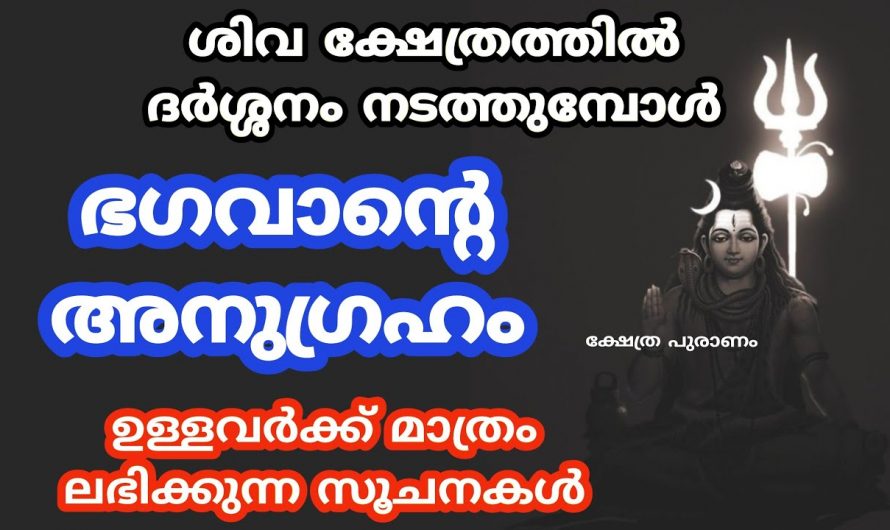 ശിവക്ഷേത്രത്തിലെ പ്രസാദത്തിൽ നിന്ന് ശങ്കുപുഷ്പം നിങ്ങൾക്ക് ലഭിക്കാറുണ്ടോ?  എങ്കിൽ ഇതാരും കാണാതെ പോകല്ലേ.