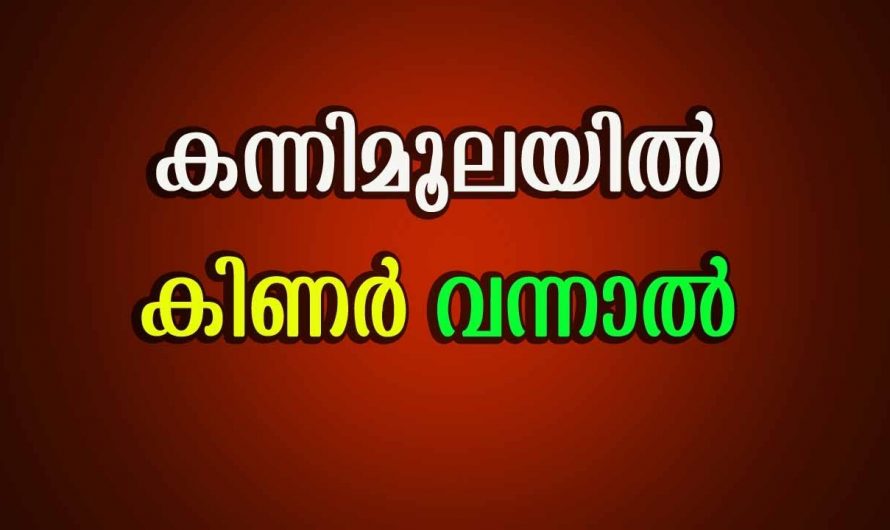 നിങ്ങളുടെ വീട്ടിലെ കിണർ കന്നിമൂലയിൽ ആണോ ഉള്ളത്?  എങ്കിൽ ഇതു വരുത്തി വയ്ക്കുന്ന ദോഷങ്ങളെ തിരിച്ചറിയാതെ പോകല്ലേ.