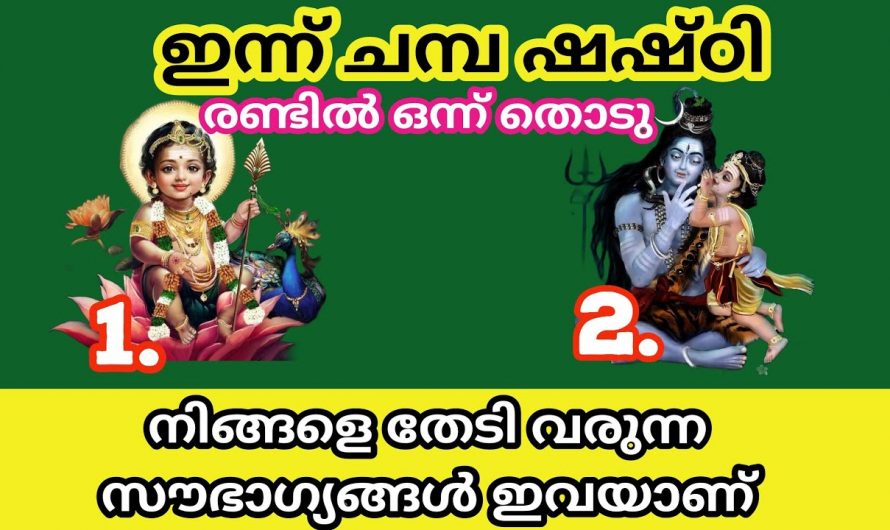 ജീവിതത്തിൽ ഉണ്ടായേക്കാവുന്ന സൗഭാഗ്യങ്ങളെ തിരിച്ചറിയാൻ ഇങ്ങനെ ചെയ്യൂ. ഇതാരും കാണാതെ പോകല്ലേ.