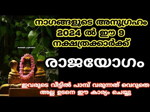 നാഗദൈവങ്ങളുടെ അനുഗ്രഹത്താൽ  കുതിച്ചുയരുന്ന നക്ഷത്രക്കാരെ ഇതുവരെയും അറിയാതെ പോയല്ലോ.