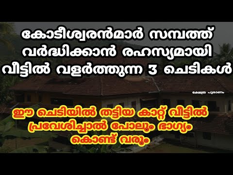 സമാധാനവും ധനവും സമ്പാദിക്കാൻ വീട്ടിൽ വളർത്തേണ്ട സസ്യങ്ങളെ ആരും കാണാതെ പോകരുതേ.