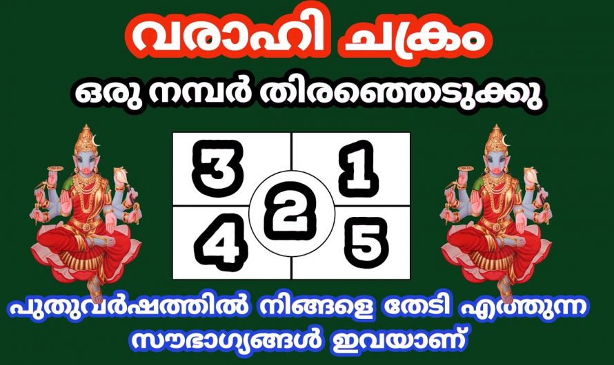 പുതുവർഷം നമുക്ക് നൽകുന്ന ഫലങ്ങളെ തിരിച്ചറിയാൻ ഇതിൽ ഒന്നു തൊടു. ഇതാരും നിസ്സാരമായി കാണല്ലേ.