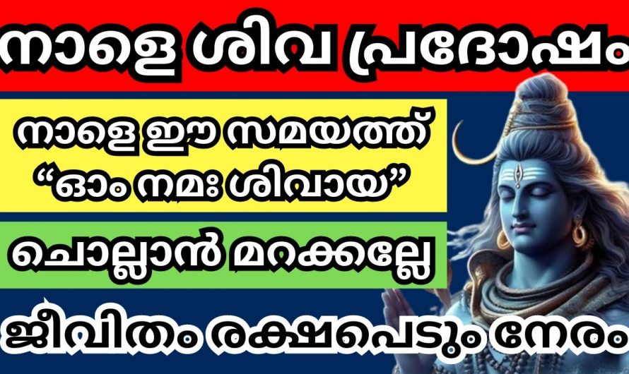 പ്രദോഷ ദിവസം ജപിക്കേണ്ട ഈ മന്ത്രത്തെക്കുറിച്ച് ഇതുവരെയും അറിയാതെ പോയല്ലോ ഈശ്വരാ.