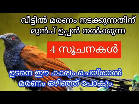 വീട്ടിൽ മരണം നടക്കുന്നതിന് മുൻപ് കാണുന്ന ഇത്തരം സൂചനയെ നിസ്സാരമായി തള്ളിക്കളയരുതേ.