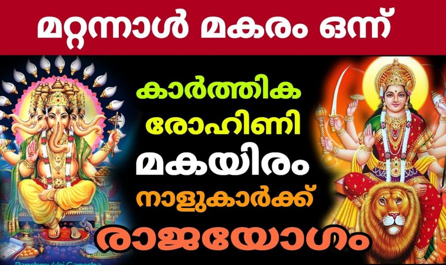 ഇടവം രാശിയിലെ നക്ഷത്രക്കാരാണോ നിങ്ങൾ? എങ്കിൽ ഇതാരും അറിയാതെ പോകല്ലേ.