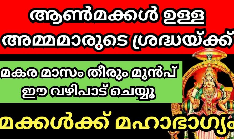 ആൺമക്കളുള്ള അമ്മമാർ  ചെയ്യേണ്ട ഈ വഴിപാടിനെ കുറിച്ച് ഇതുവരെയും അറിയാതെ പോയല്ലോ ഭഗവാനെ.