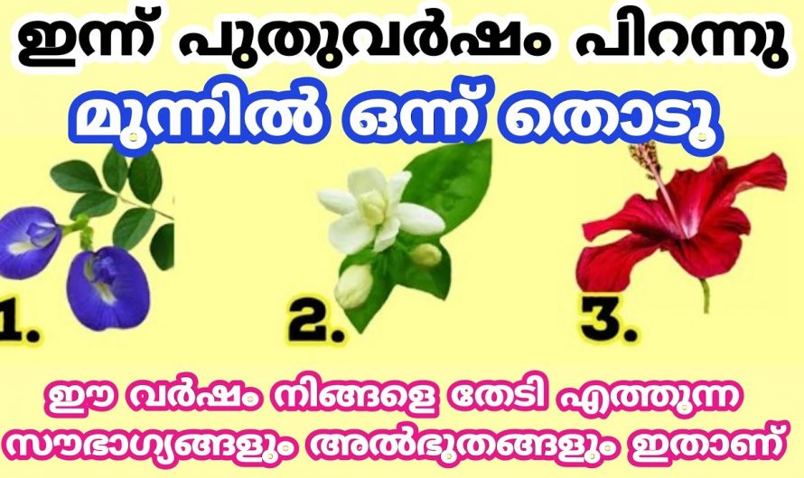 മൂന്ന് പൂക്കളിൽ ഒരെണ്ണം തൊടൂ. ഈശ്വരൻ നൽകുന്ന  നേട്ടങ്ങൾ തിരിച്ചറിയാം. ഇതാരും നിസ്സാരമായി കാണല്ലേ.