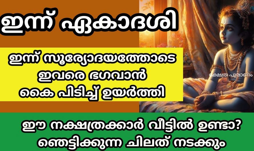 സഫല ഏകാദശിയോട് കൂടി ജീവിതത്തിൽ ഉയർച്ചയുണ്ടാകുന്ന നക്ഷത്രക്കാരെ ഇതുവരെയും അറിയാതെ പോയല്ലോ.