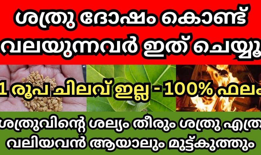 ശത്രു ദോഷത്താൽ മനസ്സമാധാനം നഷ്ടപ്പെട്ടവരാണോ നിങ്ങൾ? എങ്കിൽ ഇനിയെങ്കിലും ഇത് അറിയാതിരിക്കല്ലേ.