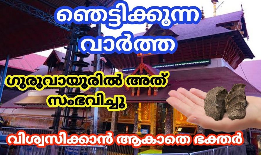 ഗുരുവായൂർ ക്ഷേത്രത്തിൽ നടന്ന ഞെട്ടിക്കുന്ന അത്ഭുതത്തെക്കുറിച്ച് ഒരു കാരണം കൊണ്ടും അറിയാതിരിക്കല്ലേ.