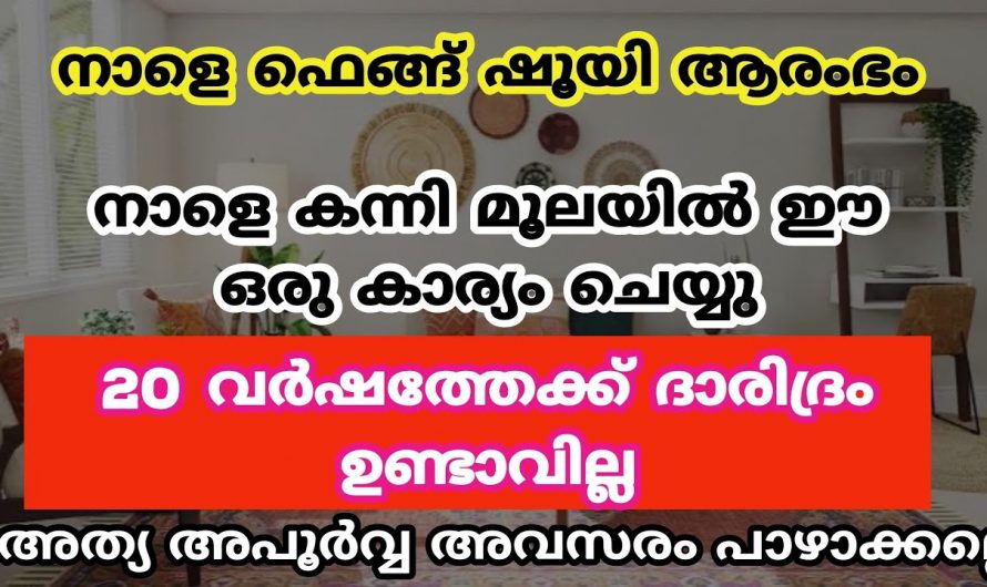 കുടുംബത്തിൽ സൗഭാഗ്യം വന്നുനിറയാൻ കന്നിമൂലയിൽ ഈ ഒരു കാര്യം ചെയ്യൂ. ഇതാരും കാണാതിരിക്കല്ലേ.