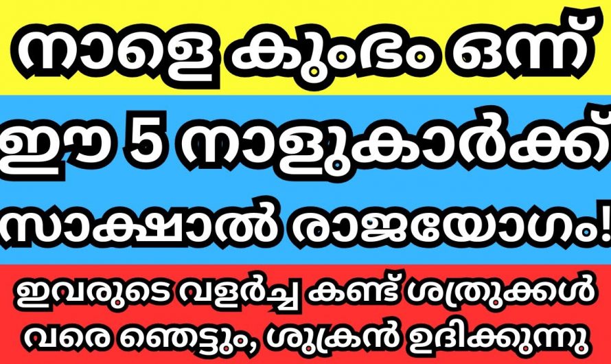 കുംഭമാസത്തിൽ മഹാഭാഗ്യങ്ങൾ കടന്നുവരുന്ന നക്ഷത്രക്കാരെ ആരും കാണാതെ പോകല്ലേ.