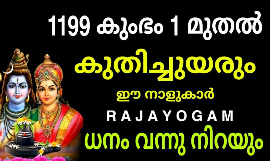 കുംഭമാസo ആരംഭിക്കുന്നതോടുകൂടി  സൗഭാഗ്യങ്ങൾ ഉണ്ടാകുന്ന നക്ഷത്രക്കാരെ ആരും കാണാതിരിക്കല്ലേ.