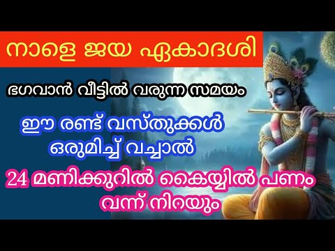 ജയ ഏകാദശിവ്രതം എടുക്കുന്നവർ അറിയേണ്ട ഇത്തരം കാര്യങ്ങൾ ഇതുവരെയും അറിയാതെ പോയല്ലോ.