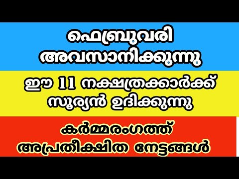 തൊഴിലിൽ വലിയ മുന്നേറ്റങ്ങൾ നേടിയെടുക്കുന്ന നക്ഷത്രക്കാരെ ഇനിയെങ്കിലും തിരിച്ചറിയാതെ പോകല്ലേ.