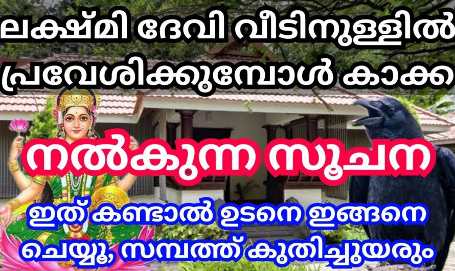 ലക്ഷ്മി ദേവിവാസം ഉള്ള വീടുകളിൽ കാക്ക നൽകുന്ന ലക്ഷണങ്ങളെ ഇനിയെങ്കിലും ആരും അറിയാതിരിക്കല്ലേ.