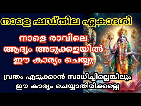 ഷഡ്തില ഏകാദശി ദിവസം മറക്കാതെ വീട്ടിൽ ചെയ്യേണ്ട ഇത്തരം കാര്യങ്ങളെ ആരും അറിയാതെ പോകരുതേ.