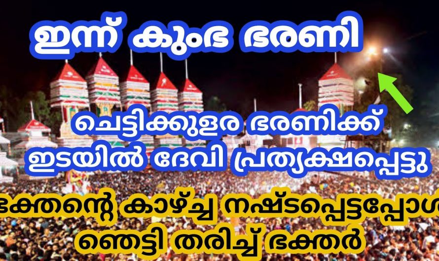 ഭദ്രകാളി ദേവി ചെട്ടികുളങ്ങര ഭരണിയിൽ നടത്തിയ  അത്ഭുതം  ഇതുവരെയും ആരും തിരിച്ചറിയാതെ പോയല്ലോ.