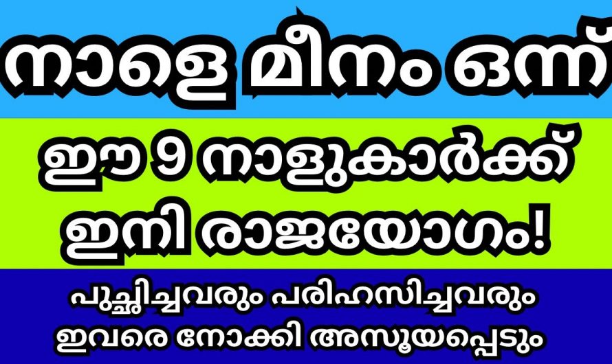 മീനമാസം പിറക്കാൻ പോകുന്നു. ഈ നക്ഷത്രക്കാരുടെ ജീവിതത്തിൽ ഇനി സൗഭാഗ്യത്തിന്റെ നാളുകൾ.