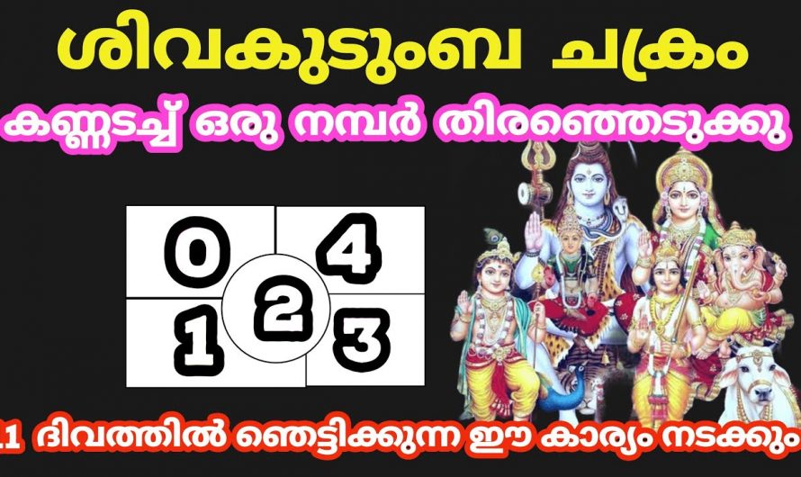 ഈ ശിവ കുടുംബ ചിത്രം പറയും നിങ്ങൾക്ക് ഭാഗ്യമുണ്ടോ ഇല്ലയോ എന്ന്. ഇതിൽ ഒരു നമ്പർ തിരഞ്ഞെടുക്കൂ.