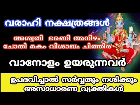 വരാഹി അമ്മയുടെ അനുഗ്രഹം ഉള്ള അത്ഭുത ശക്തിയുള്ള നാളുകാർ. ഇവരെ ദ്രോഹിച്ചാൽ സർവ്വനാശം ആണ്.