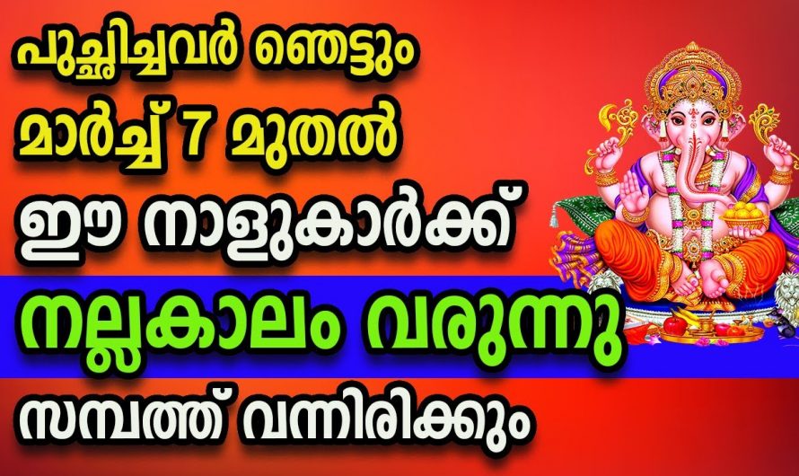 ഇവരുടെ സമയദോഷം എല്ലാം ഇനി തീരാൻ പോകുന്നു. നാളെ മുതൽ ഗജരാജയോഗ സമയം.