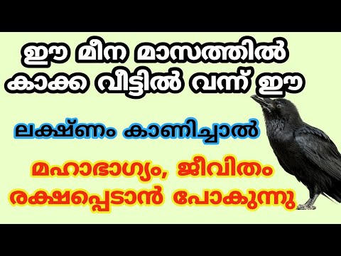 മാസത്തിൽ കാക്ക വീട്ടിൽ വന്ന് ഈ ലക്ഷണങ്ങൾ കാണിച്ചാൽ ഇനി വിഷമിക്കേണ്ട മഹാഭാഗ്യമാണ് വരാൻ പോകുന്നത്.