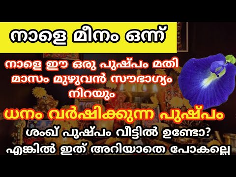 ശങ്കുപുഷ്പം കൊണ്ട് വീട്ടിൽ ദേവിക്ക് ഇതുപോലെ ചെയ്യൂ. മാസം മുഴുവൻ ധനവരവ് വർദ്ധിക്കും.