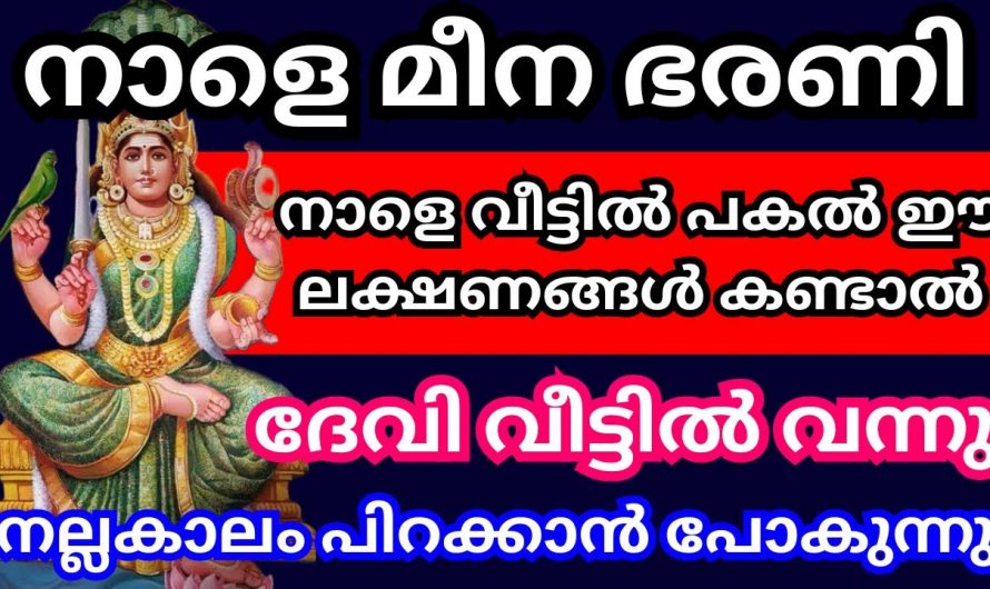 ഇതിലും വലിയൊരു ഭാഗ്യമുണ്ടോ. ദേവിയുടെ അനുഗ്രഹം നിറഞ്ഞു നിൽക്കുമ്പോൾ മാത്രം കാണാൻ കഴിയുന്ന ലക്ഷണങ്ങൾ.