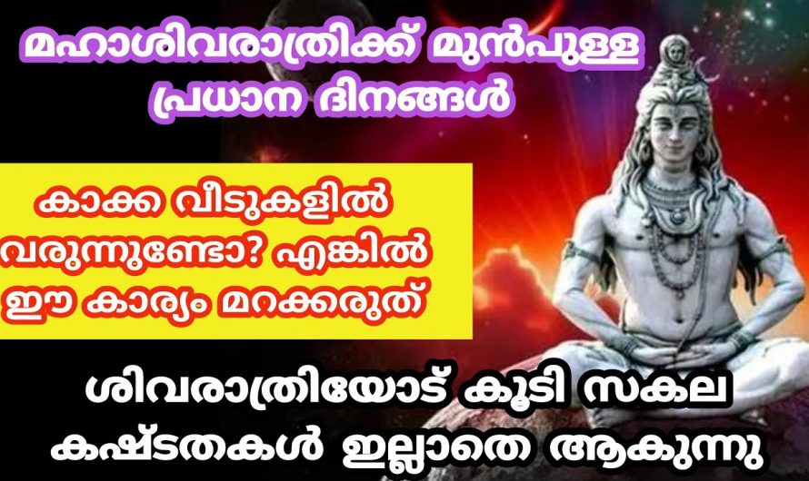 ജീവിതത്തിലെ എല്ലാ കഷ്ടതകളും ഇതോടെ ഇല്ലാതാകും. ശിവരാത്രിക്ക് മുമ്പുള്ള ദിവസങ്ങളിൽ വീടുകളിൽ ഈ ലക്ഷണങ്ങൾ കാണാൻ കഴിഞ്ഞാൽ മതി.