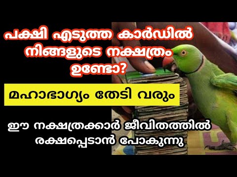 മാർച്ച് മാസത്തിൽ പ്രശ്നങ്ങളെ അതിജീവിച്ച് ഉയർച്ചയിൽ എത്തുന്ന നക്ഷത്രക്കാരെ അറിയാതിരിക്കല്ലേ.