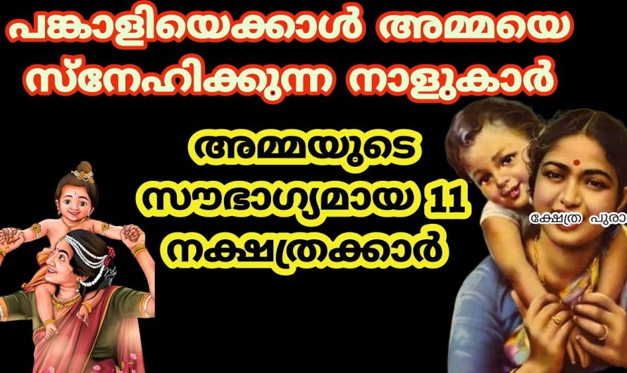 ഇനി എന്തൊക്കെ നേരിടേണ്ടി വന്നാലും ഇവരുടെ കൂടെ അമ്മ ഉണ്ടാവുക തന്നെ ചെയ്യും.