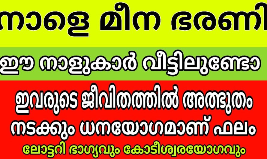 ഇന്ന് മീനഭരണി. ധനയോഗം വന്ന് ചേരുന്ന ഭാഗ്യ നക്ഷത്രക്കാർ. ഇവർ ഉടനെ ലോട്ടറി എടുക്കൂ.