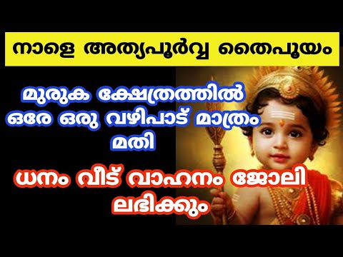 നിങ്ങളുടെ മക്കളുടെ സങ്കടങ്ങൾ എല്ലാം ഇനി ഉടനെ മാറിയിരിക്കും. മുരുക ക്ഷേത്രത്തിൽ ഈ വഴിപാട് ചെയ്താൽ മാത്രം മതി.