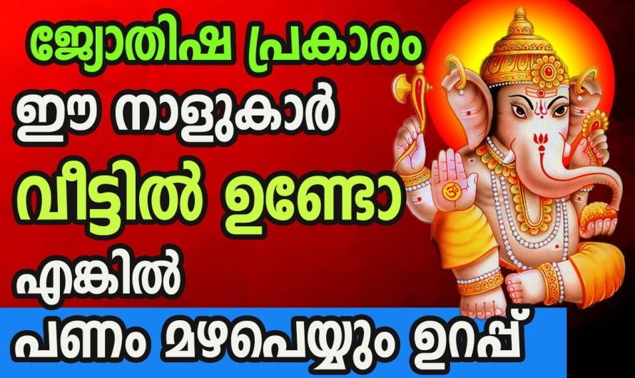 ഈ നക്ഷത്രക്കാർ എവിടെയുണ്ടോ അവിടെയെല്ലാം ഇനി സമ്പത്തിന്റെ മഴയായിരിക്കും.