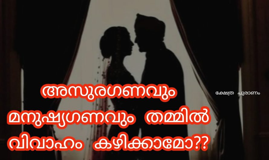 അസുരഗണവും മനുഷ്യഗണവും വിവാഹം കഴിച്ചാൽ ഉണ്ടാകുന്ന ഞെട്ടിക്കുന്ന ഫലങ്ങൾ.