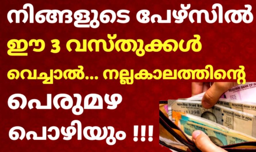 ഇനി ചെലവ് കുറച്ച് പണം ഇരട്ടിയാക്കാം.മറക്കാതെ പേഴ്സിൽ ഈ വസ്തുക്കൾ വച്ചാൽ മതി.